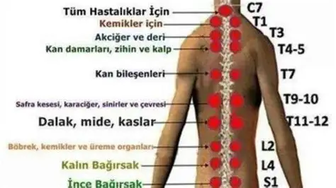 Hacamat Kalp Krizini Önler mi? Uzmanlar Uyardı: Bilimsel Kanıtlar Sınırlı
