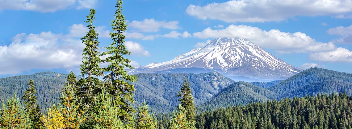 Ilgaz Dağı Temmuzda Baharı Yaşatıyor: Zirve Çiçeklerle Renklendi