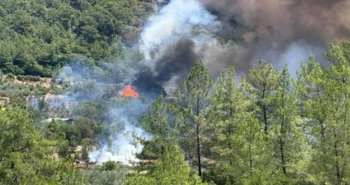 Fethiye Orman Yangını Son Durum: Yangın Kontrol Altına Alındı, Müdahale Sürüyor