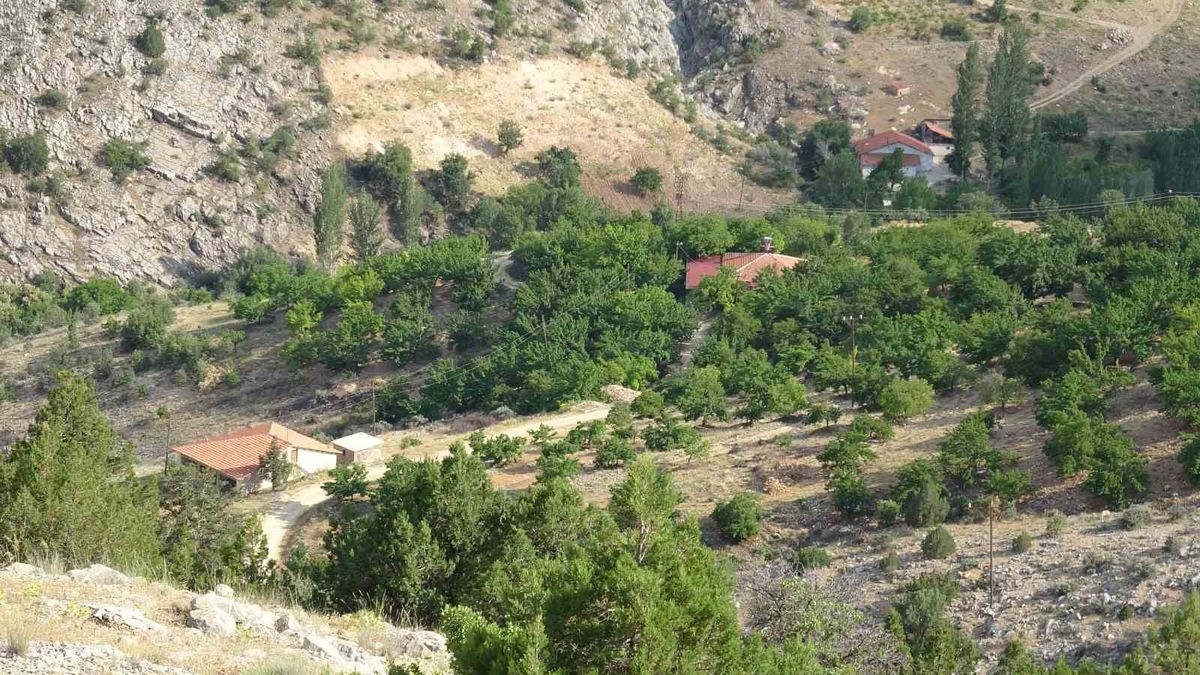 Malatya’da Kayıp Aysel Yıldırım İçin Arama Sürüyor: Cenazesine Henüz Ulaşılamadı