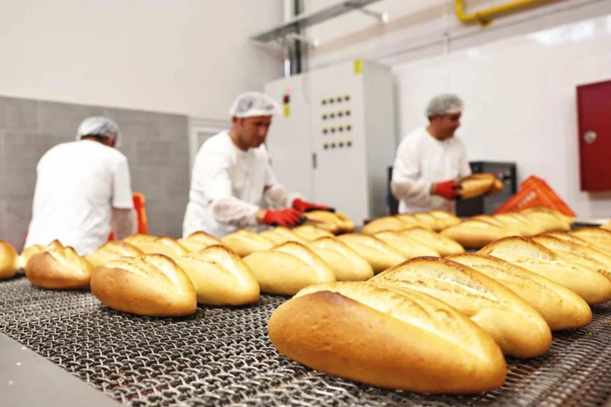 Erzincan’da Ekmeğe Zam Geldi: 210 Gram Ekmek 17,5 TL Oldu