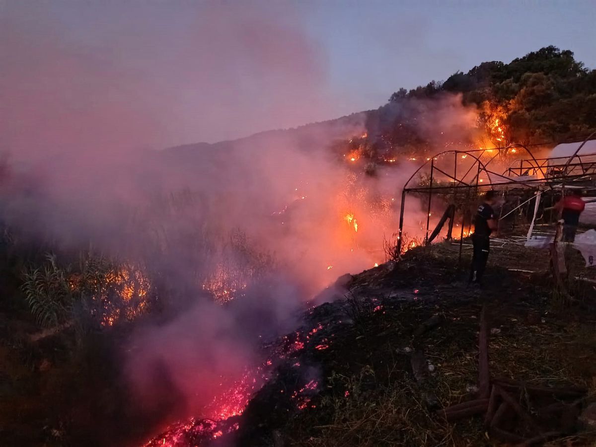 Antalya'da 3 Günde 34 Yangın: 8 İlçede Ormanlar ve Yerleşim Yerleri Alevlerle Mücadele Etti