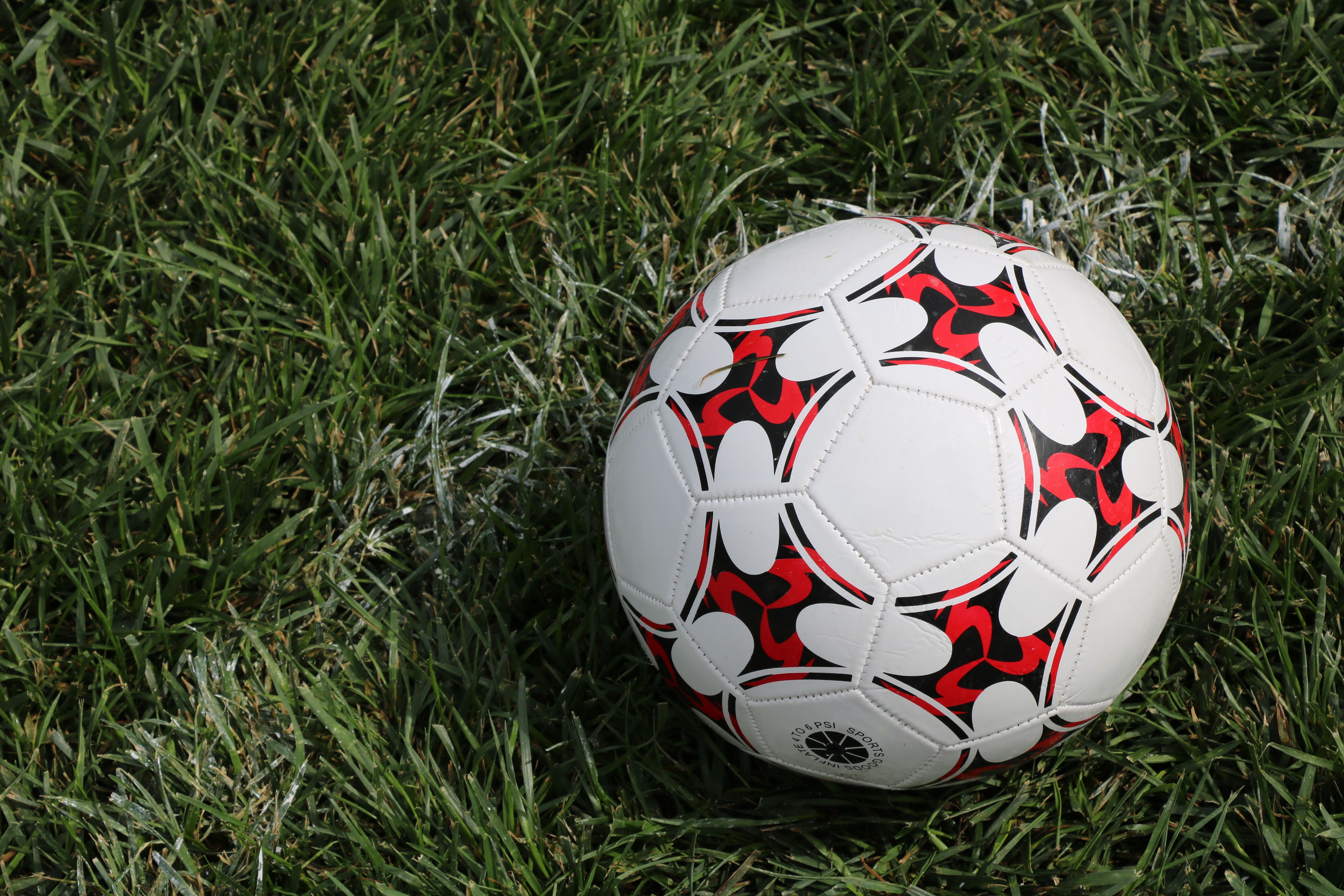 Papara Park’ta Düdük Genç Hakemde: Trabzonspor-Galatasaray Derbisine Sürpriz Atama!