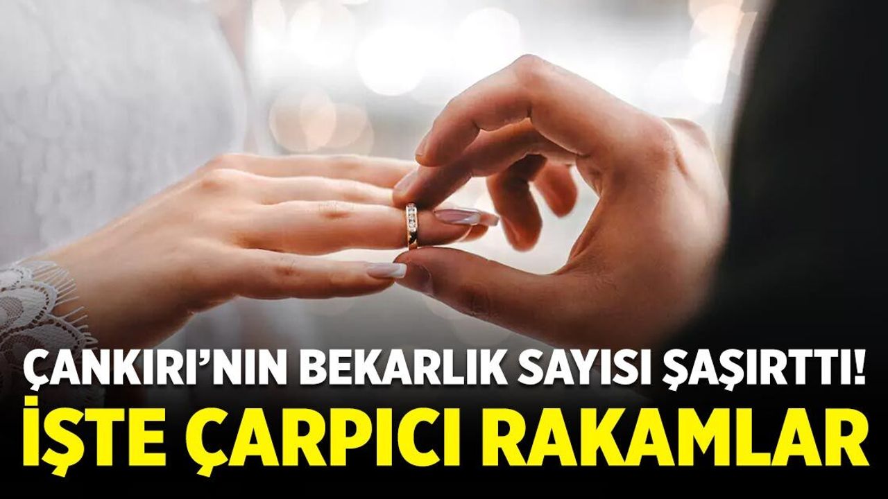 Çankırı’da evlilik ve hane yapısına ilişkin dikkat çeken veriler