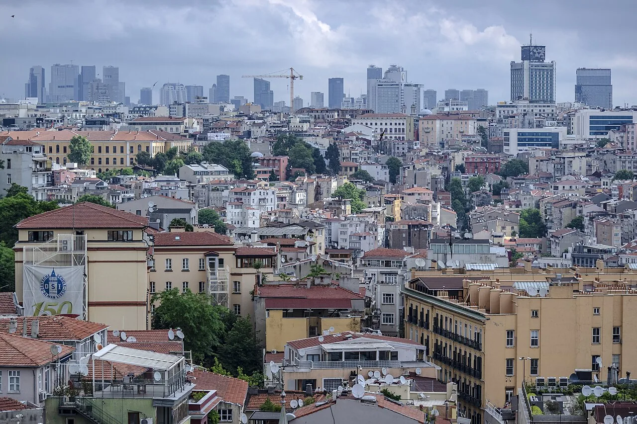 İstanbul’da piton yılanı, tarantula ve bukalemun ele geçirildi