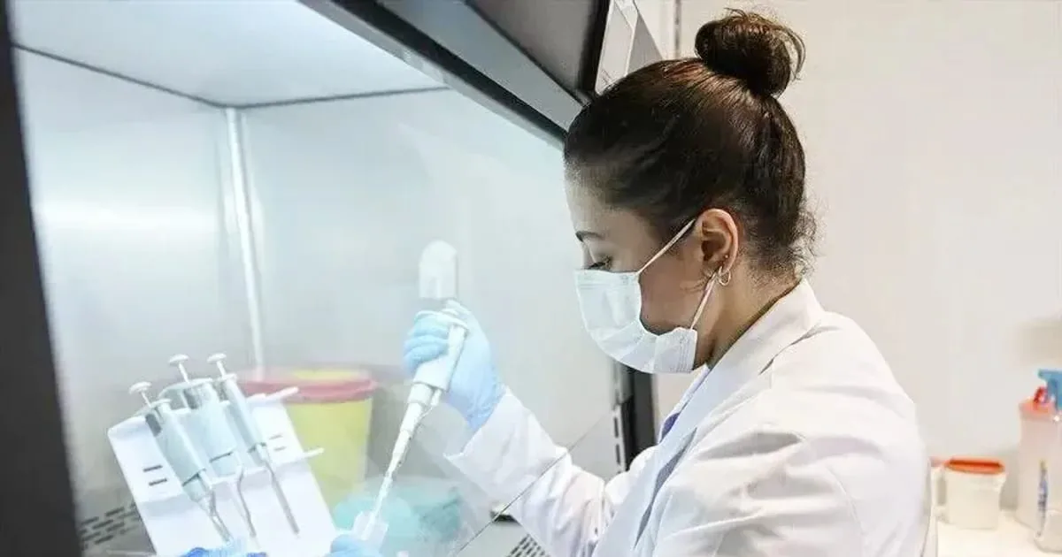 İstanbul'da göçmen kuşlardan toplanan binlerce kene küresel laboratuvarlarda inceleniyor
