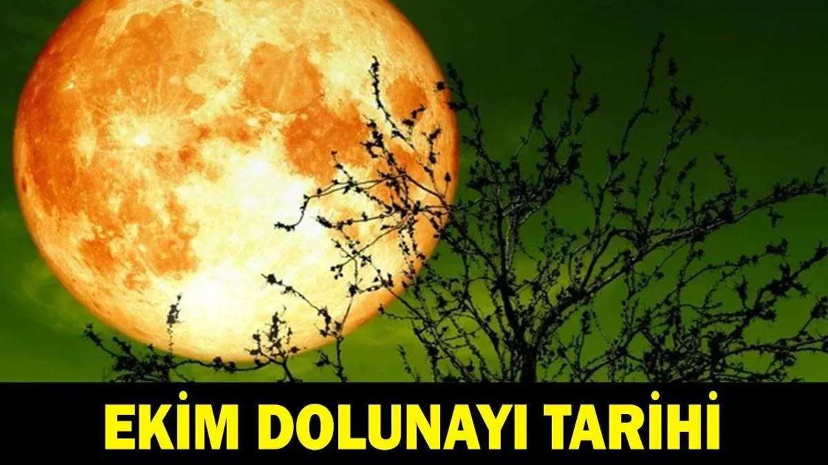 Ekim Dolunayı 2026: Avcı Dolunayı Ne Zaman ve Saat Kaçta?