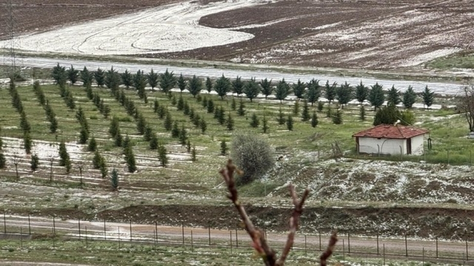 Çankırı'da sağanak ve dolu; 8 bin dönüm tarım alanı zarar gördü