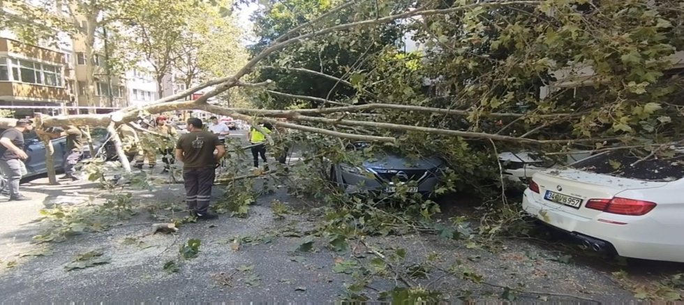 Şişli'de Park Halindeki Araçların Üzerine Ağaç Devrildi