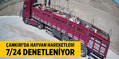 Çankırı'da hayvan hareketleri 7/24 denetleniyor